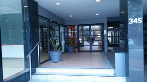 Mindful Action Studio
